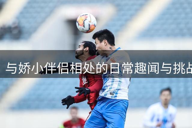 与娇小伴侣相处的日常趣闻与挑战