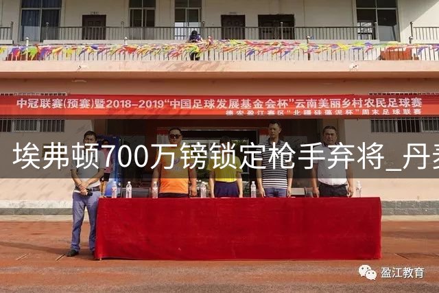 埃弗顿700万镑锁定枪手弃将 丹麦铁腰或成太妃糖中场新屏障